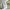 Vivienne Westwood Luxury Cardigan Wanita cream photo 6