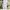 Vivienne Westwood Luxury Cardigan Wanita cream photo 5