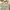 Vivienne Westwood Luxury Cardigan Wanita cream photo 2