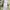 Vivienne Westwood Luxury Cardigan Wanita cream photo 7