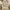 Vivienne Westwood Luxury Cardigan Wanita cream photo 1