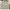 Vivienne Westwood Luxury Cardigan Wanita cream photo 2