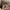 Nike Air Force 1 React no box photo 5