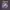 Megadeth Cyber army 2020 photo 2