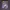 Megadeth Cyber Army 2020