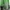 Asics Streetwear Sportswear Bag Pria green gray photo 2