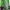 Asics Streetwear Sportswear Bag Pria Green Gray