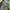 Asics Streetwear Sportswear Bag Pria green gray photo 4