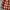Unknown Veterano Outer Shirt photo 3
