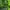 Deuter Sportswear Kids green photo 2