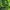 Deuter Sportswear Kids Green