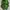 Deuter Sportswear Kids Green