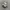 Nike Zoom Vomero 5 Pack Gray Silver Pink photo 2