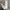 Zara Casual Harrington jacket Pria gray photo 7
