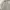 Zara Casual Harrington jacket Pria gray photo 1