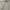 Zara Casual Harrington jacket Pria gray photo 4