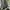 Kolon Sport Sportswear Bag Pria green gray photo 4