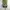 Kolon Sport Sportswear Bag Pria green gray photo 1