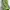 Kolon Sport Sportswear Bag Pria green gray photo 2