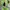 Kolon Sport Sportswear Bag Pria green gray photo 8