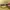 Vintage Antique Cloisonne Gold Indian Bangle Magnetic Clasp  photo 5
