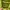 Hoodie Pull & Bear Warna Lime Comfort Fit XL Like New photo 4