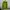 Hoodie Pull & Bear Warna Lime Comfort Fit XL Like New photo 1