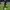 Jersey Away Arsenal 2018/2019 photo 3