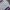 Jersey tokyo fc 1999 vintage original adidas photo 5