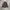 HOTTOPIC FLANEL SKULL photo 1