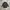 MONTAGUT FULL BLACK CASUAL SHIRT photo 1
