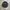 MONTAGUT FULL BLACK CASUAL SHIRT photo 4