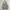 HOODIE FULL ZIP UMBRO photo 4