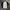 Jacket Casual Peggy & Co Size S photo 8