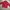 Diadora Spellout logo Halfzipp Windbreaker photo 5