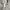 Timberland Long shirt stripe relaxed fit photo 4