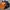 Harley Davidson Aop Pullover photo 3