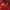 Jack Wolfskin Sportswear Kids red photo 5