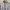 Longsleeve collar shirt - vtg looks/Indian (unisex) photo 3