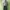 eighteen millimeter wol double zip jacket photo 2