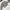 eighteen millimeter wol double zip jacket photo 4