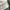 Vintage polo shirt Fred Perry England twins tipped  photo 4