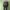 vintage drug store poppa coach jacket photo 3