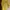 Casual Nightgown Wanita Yellow