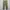 Olive  Fatigue Baker Pants by Northern Truck photo 1
