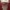 Topi Von Dutch photo 1