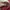 Topi Von Dutch photo 4