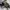 Puma RS-X Running System Size 37 photo 2