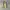 Army sling bag  photo 4