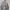 American Eagle Casual Track Jacket Pria Gray Blue
